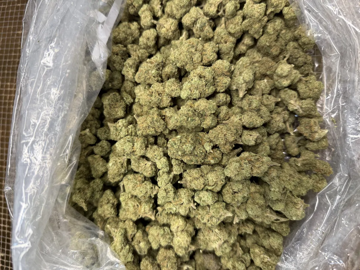 Oreoz Flower